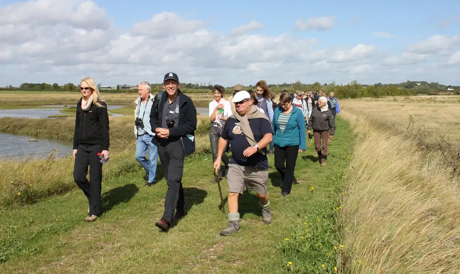 Guided walk at Abbotts Hall Farm