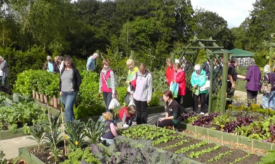 People visiting the Dig For Victory First World War allotment