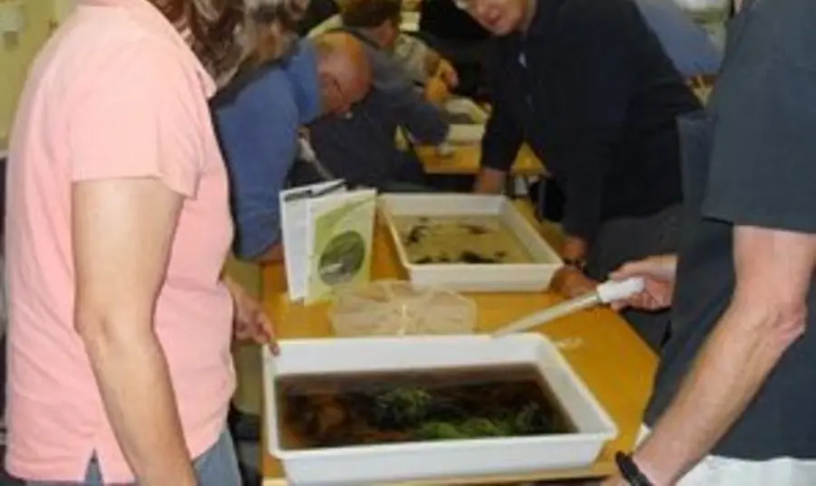 Volunteers being trained to identify riverfly as part of the Teme River Communities project