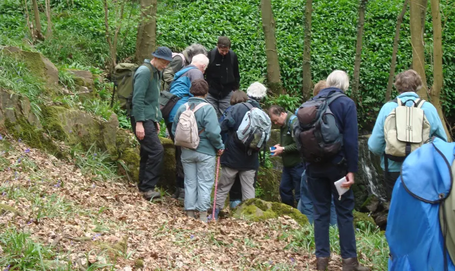 Participants exploring Bradford's lost ancient woodland