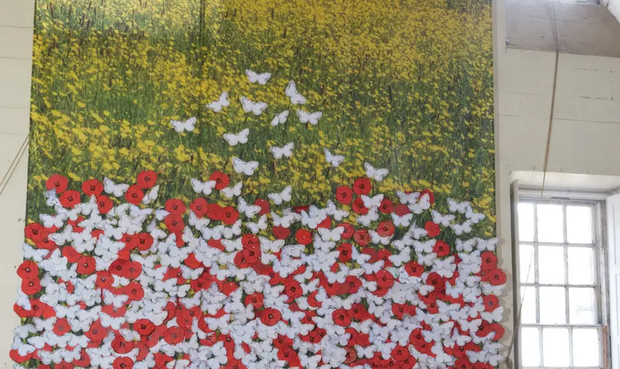 The history wall with red poppies (for those who died) or a white butterfly (for those left behind)