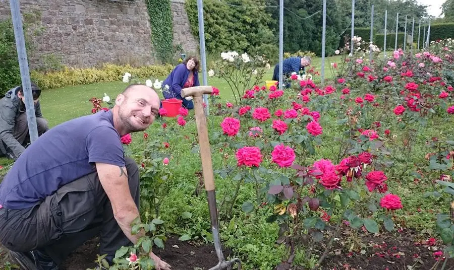 A person smiles at the camera while tending to some roses in a garden