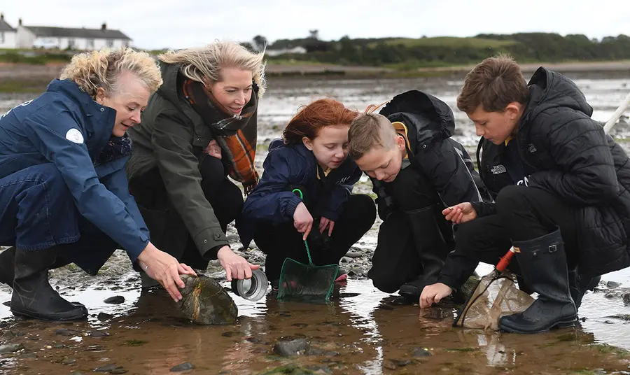 Five people, including three children are using nets