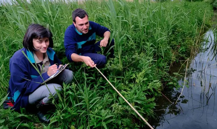 Two people on the bank of a waterway examining it and taking notes