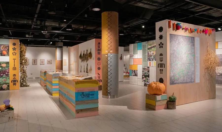 An exhibition space containing brightly coloured wooden plinths and display boards, pumpkins and dried plants