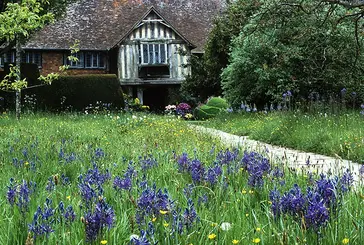 A garden with purple flowers and a path leading to a thatched cottage