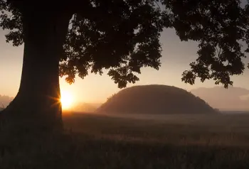 The mounds at Sutton Hoo