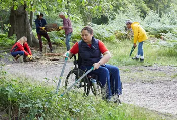 A volunteer in a wheelchair using shears to do practical work in woodland. Other volunteers can be seen doing other practical tasks in the background