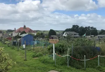 A community growing area in Burry Port, a green space where people are growing food