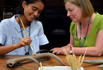 A woman watching as a younger woman cleans an antler behind the scenes at Norfolk Museums