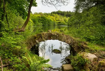 Eavestone Lake from the stone bridge