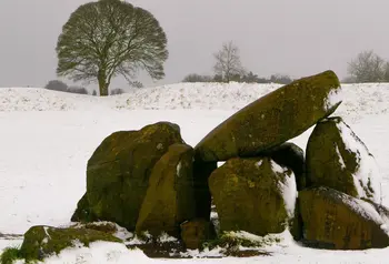 Group of assembled large stones covered in snow, with a tree in the background