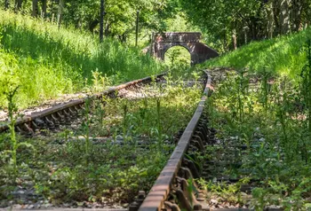 Overgrown railway