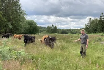 Habitat management work in Forest of Dean as part of the project