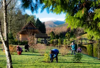 People landscaping in a Japanese garden in Scotland, with a mountain in the background.