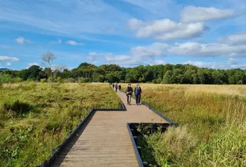 A wooden boardwalk extends out into wetlands 