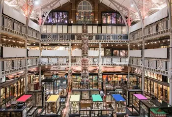 A panoramic gallery view of the Pitt Rivers Museum