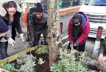 Volunteers tend to a planter in a residential area