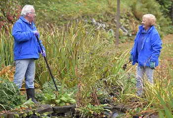 Volunteers in a park