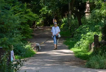 A person walking their dog on a path surrounded by greenery