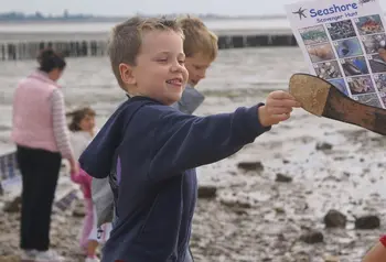 Child playing on a beach with families attending a beach scavenger hunt