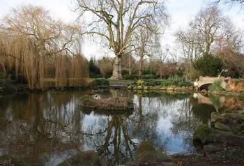 The pond at Cedar Park