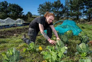 A man kneeling in a garden, tending to plants