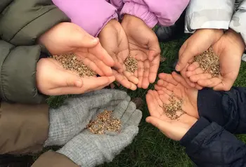 Hands holding seeds