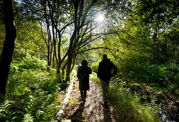 People walking in a park