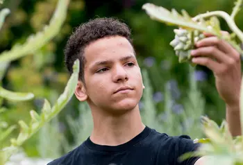 A mixed-race boy looking at an artichoke in a field