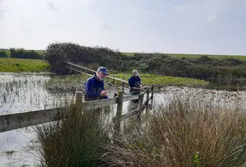 People doing restoration work in wetlands