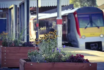 Wooden planters containing flowering plants on the platform of a train station.