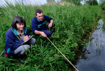 Two people on the bank of a waterway examining it and taking notes