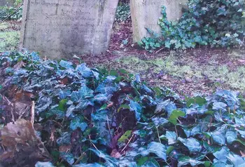 Historic gravestones at Clifton Street Cemetery, Belfast