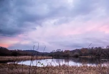 Denaby Ings Nature Reserve, Doncaster. Photo Timm Cleasby