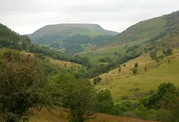 Tirwedd Gwarchodfa Natur Gilfach