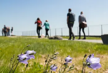 The living grassland roof at The Sill, Northumberland National Park