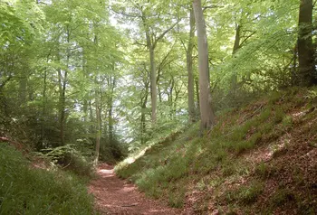 Cholesbury Camp hillfort in Buckinghamshire