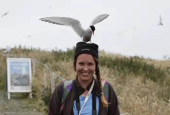 A Little tern sits on the head of a Coast Care volunteer