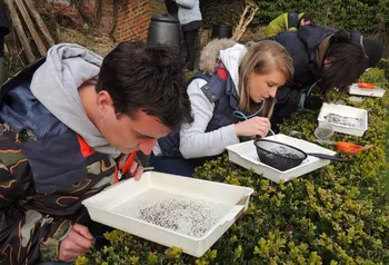 Young people studying insects