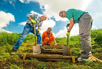 Volunteers at work in the Suffolk Broads