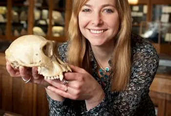 Professor Alice Roberts at Lapworth Museum