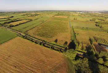 The Gwent Levels