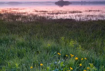 Lough Neagh at dusk