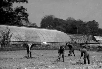 Curvilinear gasshouse in Millichope Park 