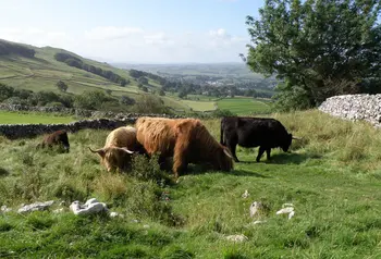 The Yorkshire Dales hide some incredible cave systems