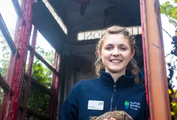 Ali North of Suffolk Wildlife Trust holds a hedgehog