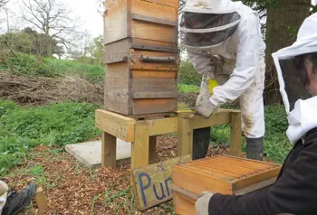 Beekeeping at Hawkwood