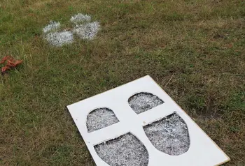 Stencil of footprints on grass