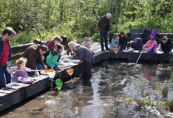 Family pond dipping at Camley Street Natural Park